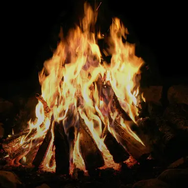 Specialty & Other Camps