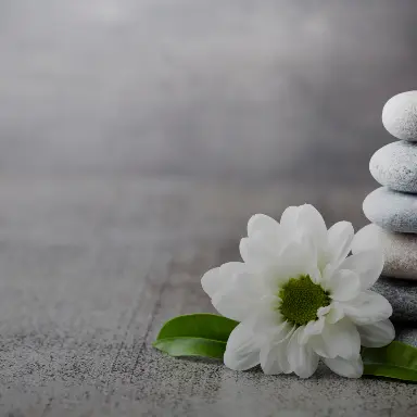 Wellness & Holistic Health