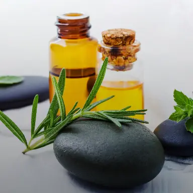 Ayurveda & Detox (Panchakarma)